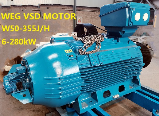 WEG Motor